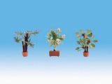 Noch NO14023 Mediterranean Plants for H0