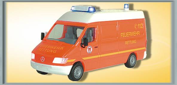 VIESSMANN/VI3231.JPG
