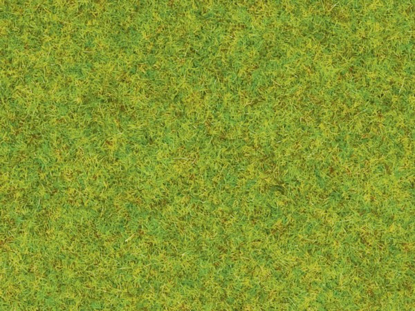 Noch 08300 Scatter Grass Spring Meadow