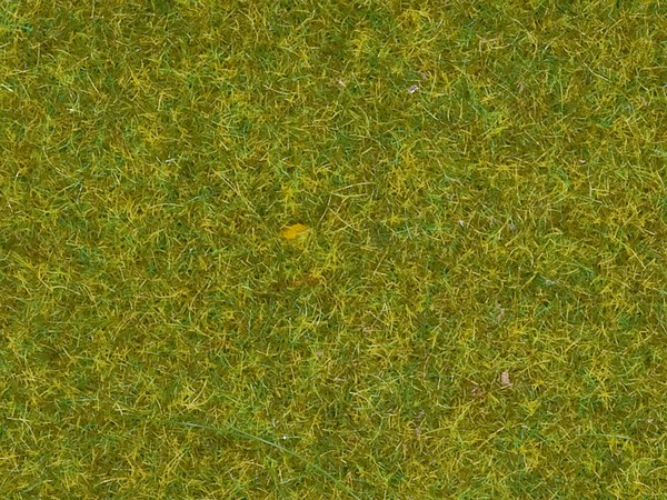 Noch 08361 Scatter Grass Meadow