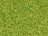 Noch 08300 Scatter Grass Spring Meadow