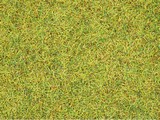 Noch 08310 Scatter Grass Summer Meadow
