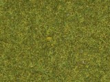 Noch 08312 Scatter Grass Meadow