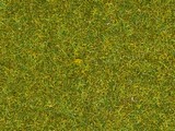 Noch 08361 Scatter Grass Meadow