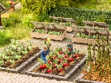 Noch NO13214 Bed Edgings for H0
