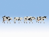 Noch NO17900 Cows black-white for 0