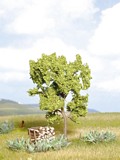 Noch NO21600 Pear Tree for H0-TT-N