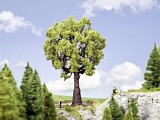 Noch NO21761 Oak Tree for 0-H0