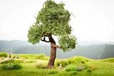 Noch NO21768 micro-motion Tree with Swing for H0