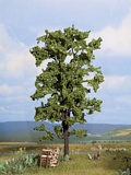Noch NO21780 Lime Tree for 0-H0-TT-N