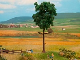 Noch NO21914 Pine Tree for H0-TT-N
