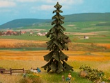 Noch NO21922 Spruce Tree for H0-TT-N