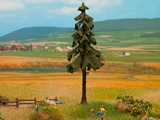 Noch NO21924 High Trunk Spruce Tree for H0-TT-N