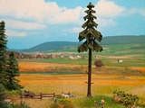 Noch NO21927 High Trunk Spruce Tree for 0-H0-TT-N
