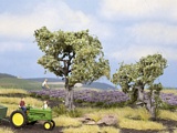 Noch NO21995 Olive Trees for H0-TT