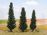 Noch NO21998 Cypresses for H0-TT-N