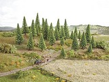 Noch NO26925 Model Spruce Trees for H0-TT