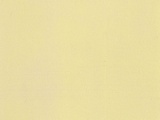 Noch NO61171 Acrylic Spray matt ivory for G-1-0-H0-H0M-H0E-TT