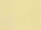 Noch NO61191 Acrylic Color matt Ivory for G-1-0-H0-H0M-H0E-TT