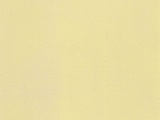 Noch NO61191 Acrylic Color matt Ivory for G-1-0-H0-H0M-H0E-TT