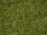 Noch NO7072 Master Grass Blend Summer Meadow for G-0-H0-TT