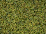 Noch NO7077 Master Grass Blend Cow Pasture for G-0-H0-TT-N