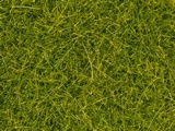 Noch NO8363 Scatter Grass for 0-H0-TT-N-Z