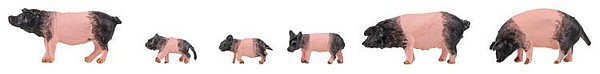 Faller 151916 6 Swabian-Hall swine