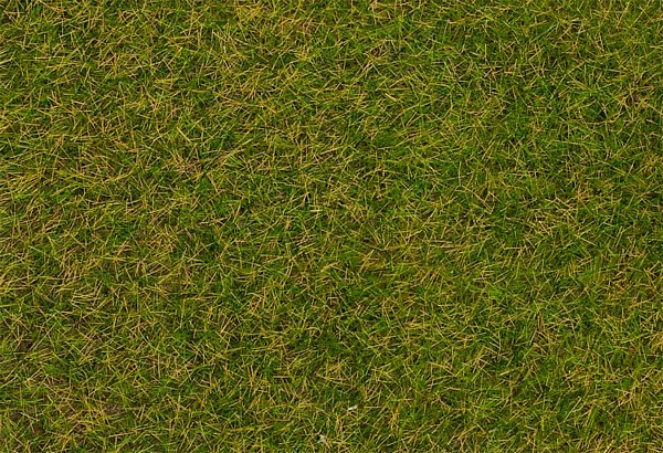 Faller 170206 Wild grass ground cover fibres Early summer lawn 4 mm 30 g