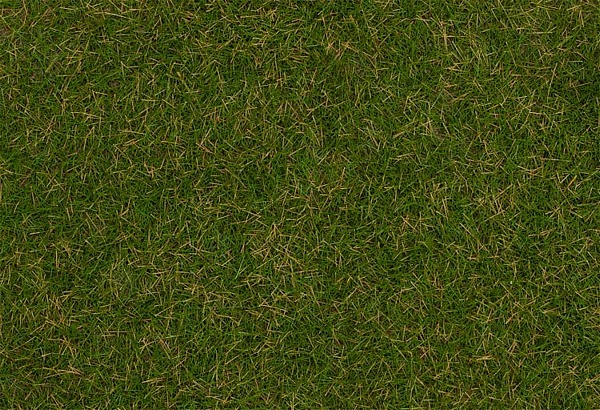 Faller 170207 Wild grass ground cover fibres Summer lawn 4 mm 30 g