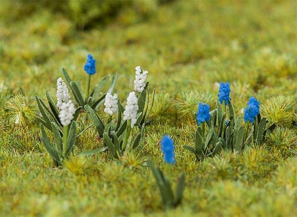 Faller 181265 32 Grape hyacinths