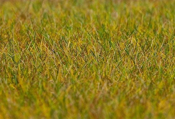 Faller 180484 PREMIUM ground cover fibres Meadow light green 6 mm 30 g