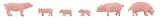 Faller 151910 Pigs
