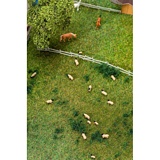 Faller 155906 20 Blackheaded Sheep