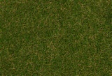 Faller 170232 Wild grass ground cover fibres Summer lawn 4 mm 80 g