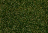 Faller 170233 Wild grass ground cover fibres dark green 4 mm 80 g
