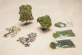 Faller 181104 Do-it-yourself PREMIUM Birch tree