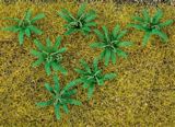 Faller 181274 12 Ferns