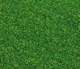 Faller 170702 Scatter material spring green 30 g