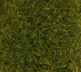 Faller 170774 PREMIUM Ground cover fibres Summer Meadow long 12mm 30g