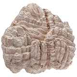 Faller 171806 Rock blank Dolomite