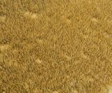 Faller 180465 Premium Landscape segment Wild grass meadow