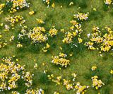 Faller 180467 PREMIUM Landscape segment Flowering meadow colourful
