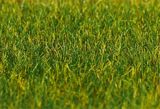 Faller 180485 PREMIUM ground cover fibres Grass dark green 6 mm 30 g