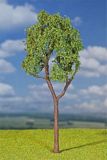 Faller 181221 1 Premium Eucalyptus