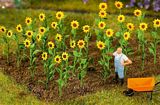 Faller 181256 16 Sunflowers