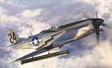 Hasegawa 08244 P51D Mustang with Rocket Tubes