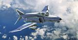 Hasegawa 52137 F4E Phantom II Ace Combat 20th Anniversary