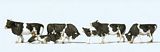Preiser 10145 Cows Black Markings