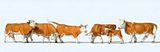 Preiser 10146 Cows Brown Markings